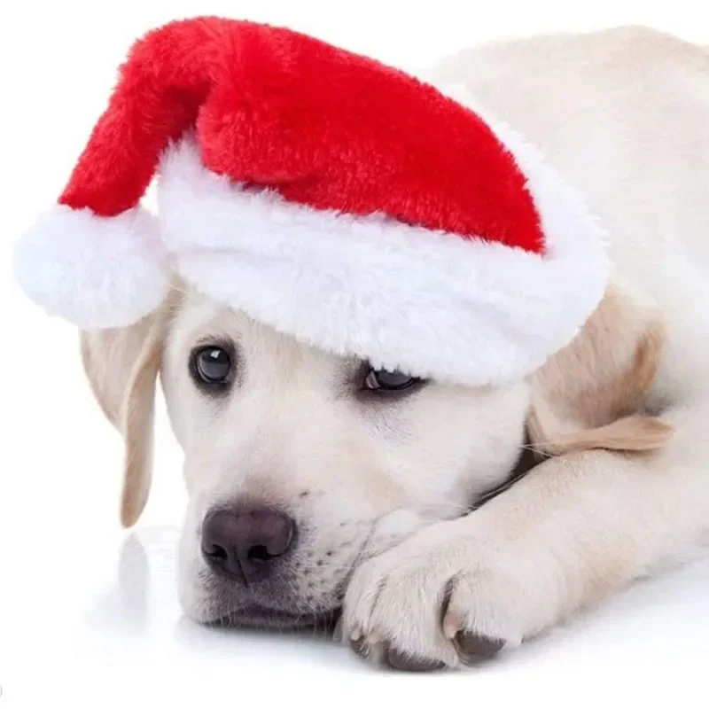 Christmas Pet Santa Hat Red Pl - đánh giá và giá Santa Hat Plush