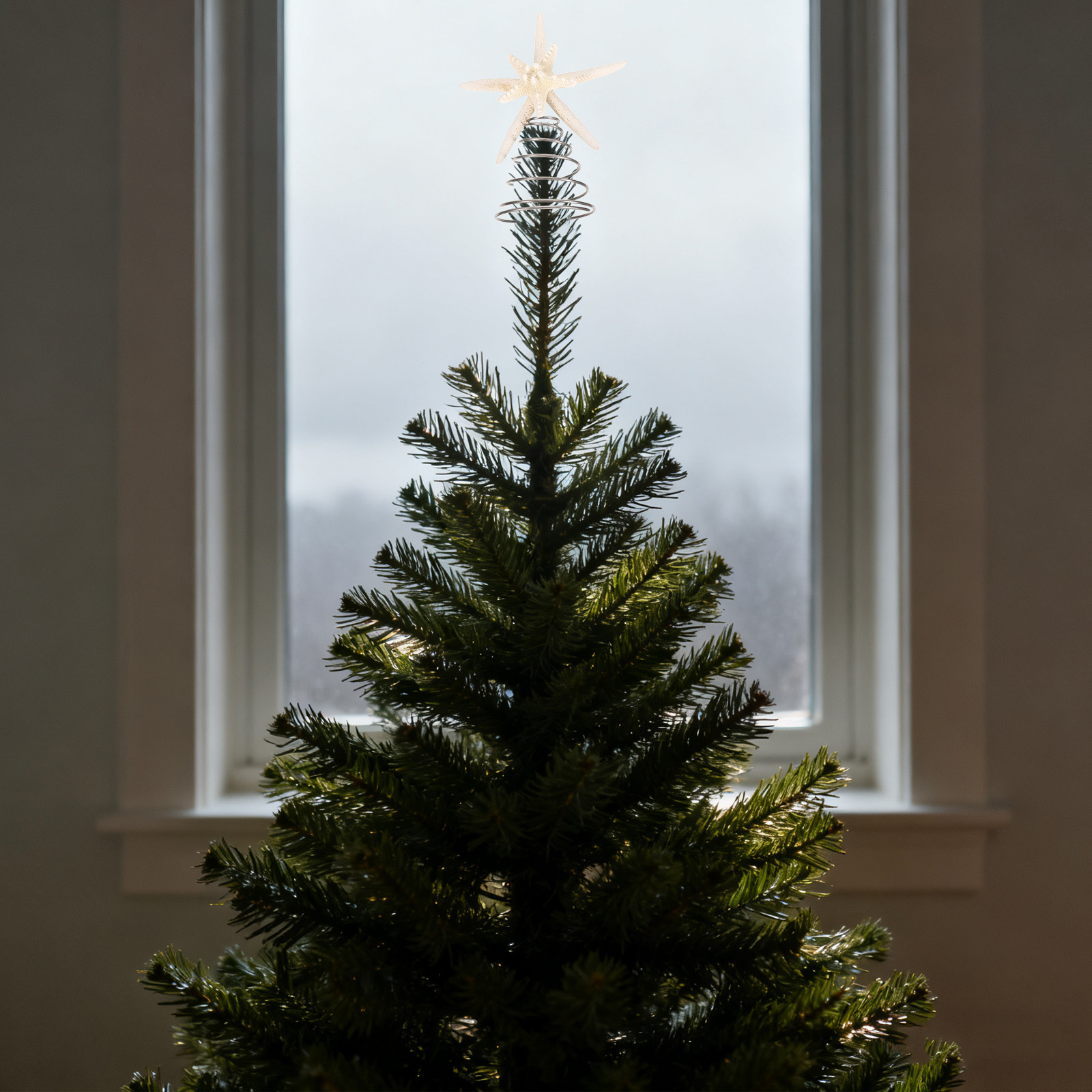 Coastal Christmas Tree Topper  - đánh giá và giá Star Tree Topper